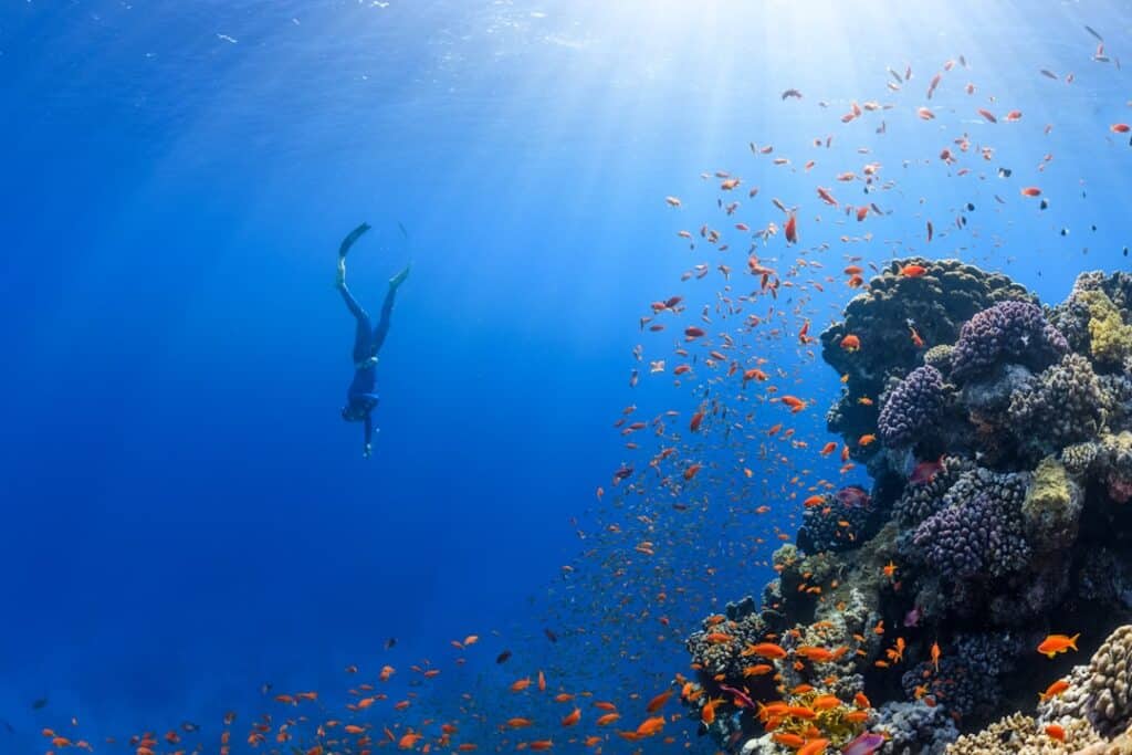 Photo Unexpected discovery