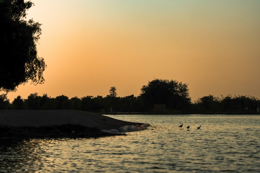 Photo perfect moment