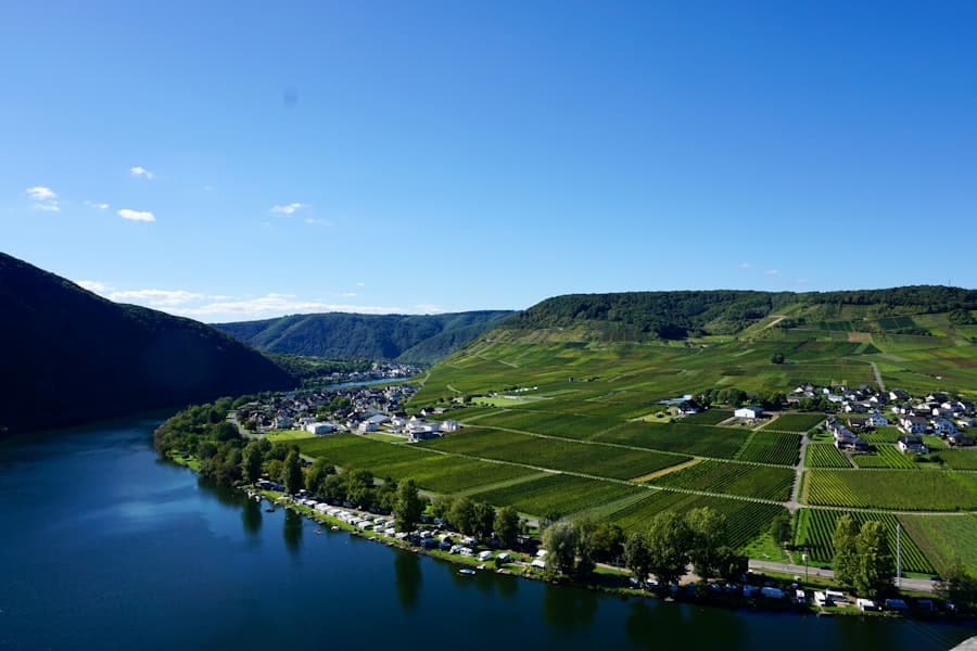 verdwaalde