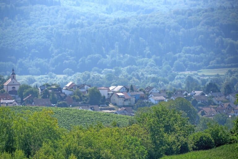 Photo verdwaalde