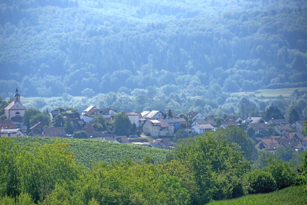 Photo verdwaalde